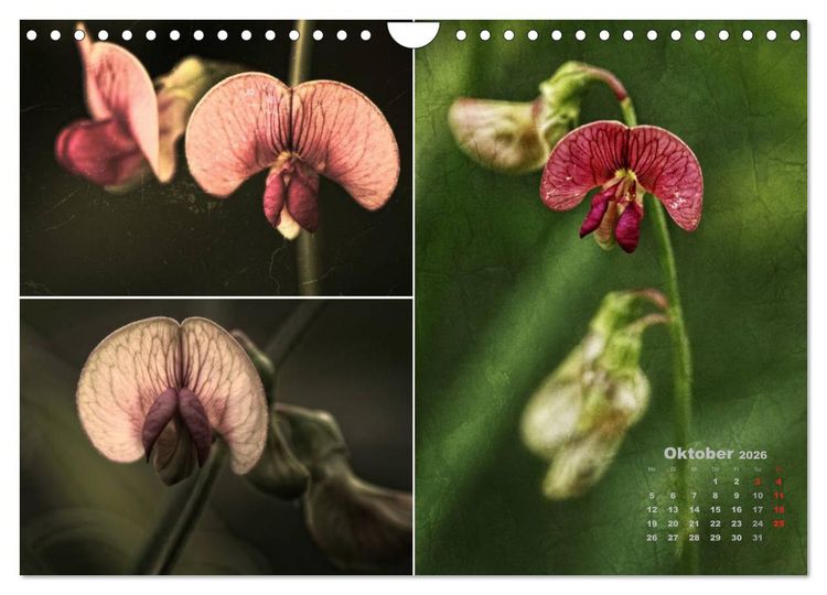 Produktbild: Blumenreise 2026 (Wandkalender 2026 DIN A4 quer), CALVENDO Monatskalender