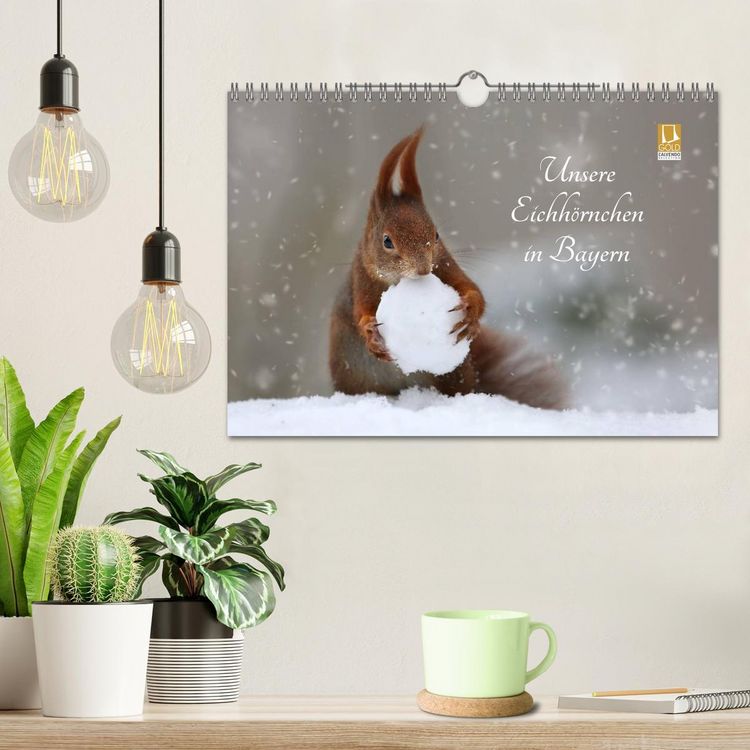 Produktbild: Unsere Eichh&ouml;rnchen in Bayern (Wandkalender 2026 DIN A4 quer), CALVENDO Monatskalender