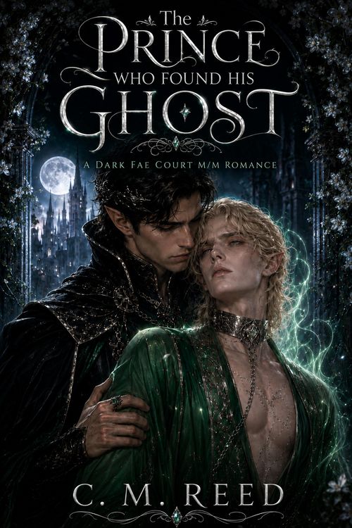 Produktbild: The Prince Who Found His Ghost : A Dark Fae Court M/M Romance