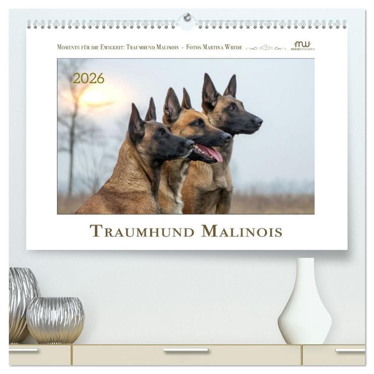 Produktbild: Traumhund Malinois (hochwertiger Premium Wandkalender 2026 DIN A2 quer), Kunstdruck in Hochglanz