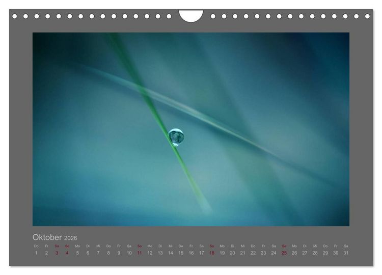 Produktbild: Kleine, gro&szlig;e Tropfenwelt (Wandkalender 2026 DIN A4 quer), CALVENDO Monatskalender