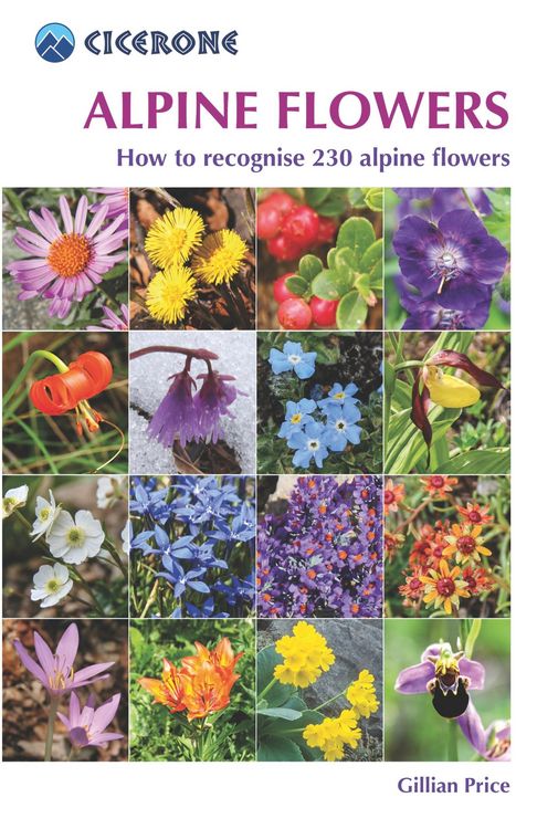 Produktbild: Alpine Flowers