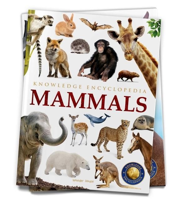 Produktbild: Animals: Mammals
