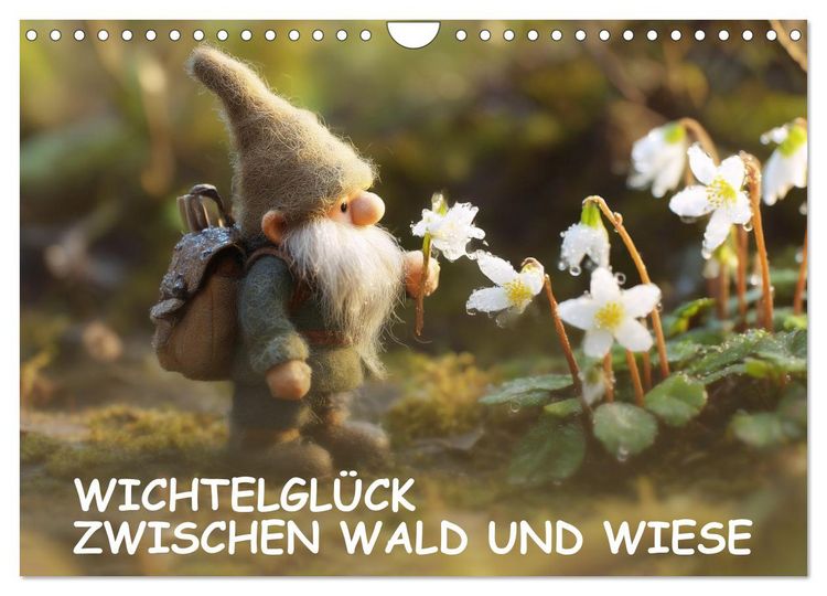 Produktbild: Wichtelgl&uuml;ck zwischen Wald und Wiese (Wandkalender 2027 DIN A4 quer), CALVENDO Monatskalender