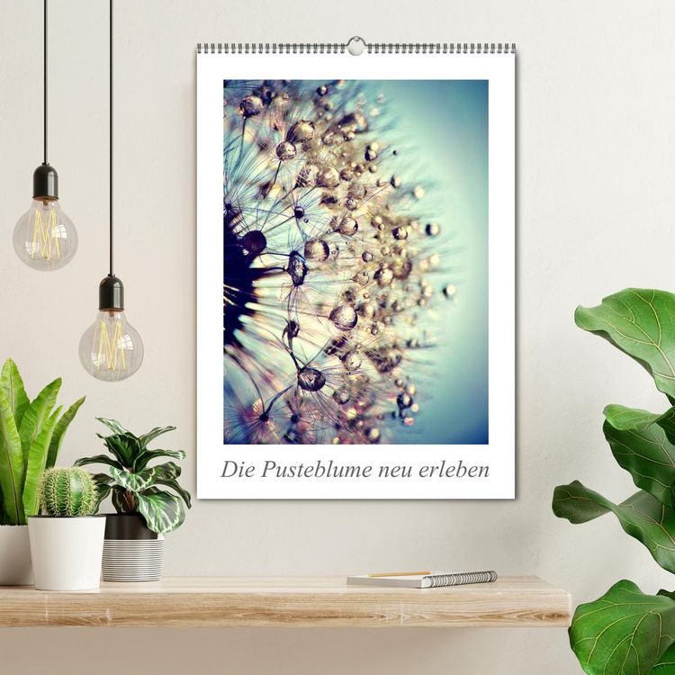 Produktbild: Die Pusteblume neu erleben (Wandkalender 2026 DIN A2 hoch), CALVENDO Monatskalender
