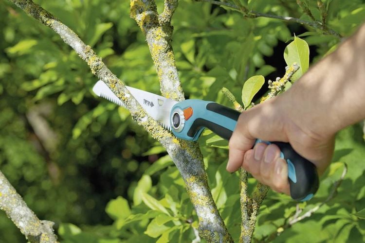 Produktbild: GARDENA Hand 08743-20 Gartens&auml;ge 200 P 100 mm