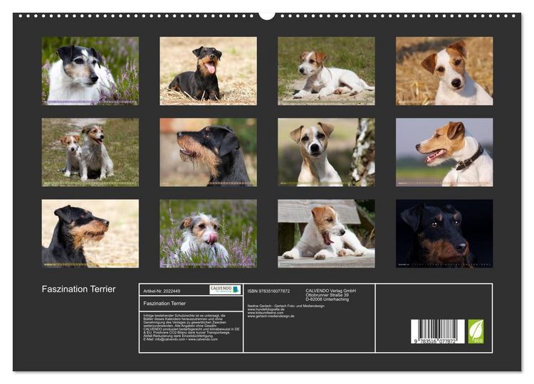 Produktbild: Faszination Terrier (hochwertiger Premium Wandkalender 2026 DIN A2 quer), Kunstdruck in Hochglanz