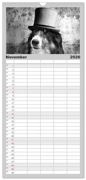 Produktbild: Familienplaner 2026 - H&uuml;tehunde mit 5 Spalten (Wandkalender, 21 x 45 cm) CALVENDO