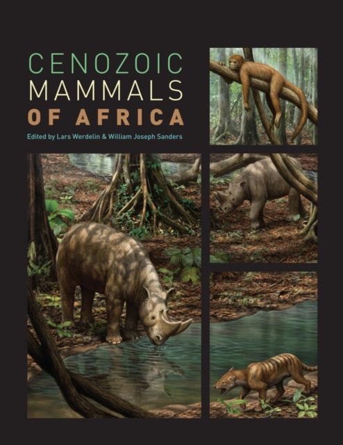 Produktbild: Cenozoic Mammals of Africa