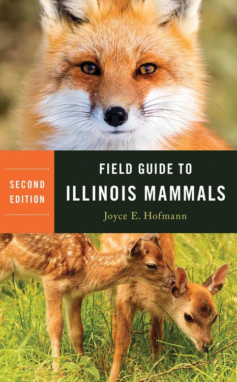 Produktbild: Field Guide to Illinois Mammals