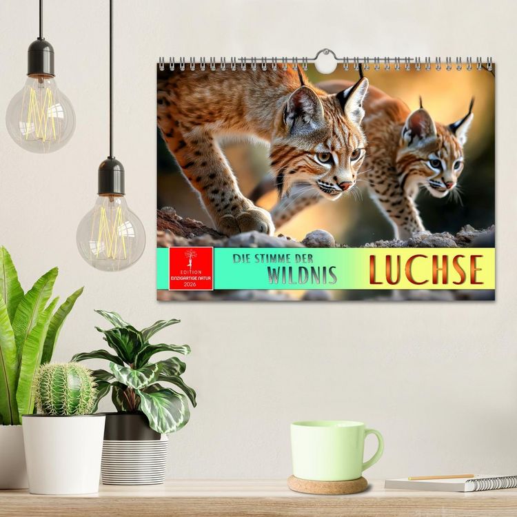Produktbild: Luchse - die Stimme der Wildnis (Wandkalender 2026 DIN A4 quer), CALVENDO Monatskalender