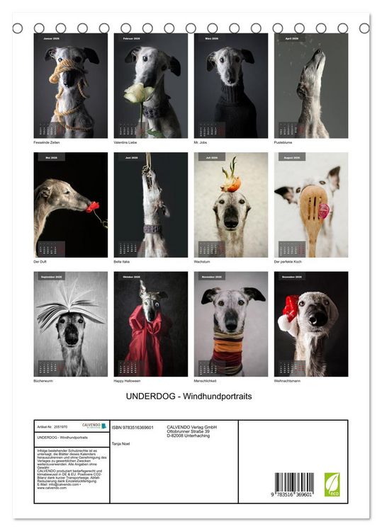Produktbild: UNDERDOG - Windhundportraits (Tischkalender 2026 DIN A5 hoch), CALVENDO Monatskalender
