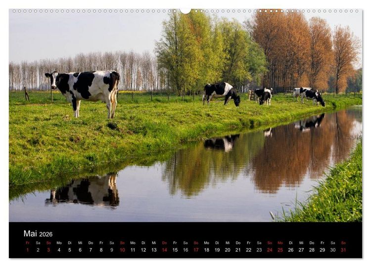 Produktbild: HOLL&Auml;NDISCHE LANDSCHAFTEN: ALBLASSERWAARD 2026 (hochwertiger Premium Wandkalender 2026 DIN A2 quer), Kunstdruck in Hochglanz
