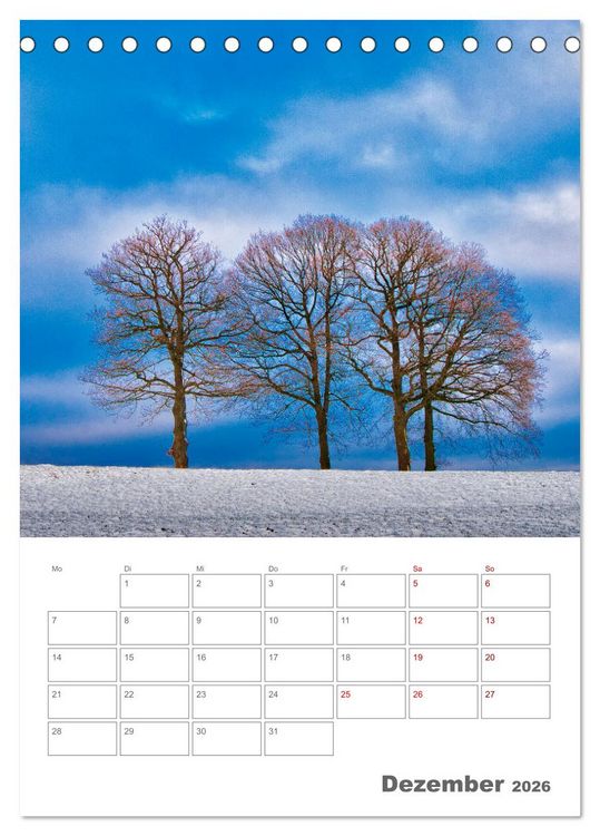 Produktbild: Planen mit dem Symbol der inneren St&auml;rke (Tischkalender 2026 DIN A5 hoch), CALVENDO Monatskalender