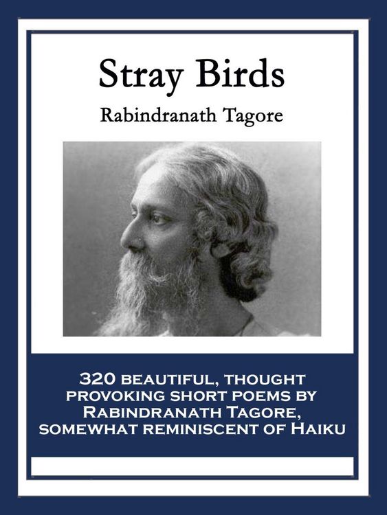 Produktbild: Stray Birds