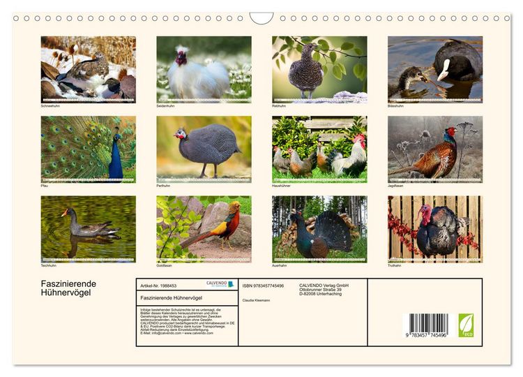 Produktbild: Faszinierende H&uuml;hnerv&ouml;gel (Wandkalender 2026 DIN A3 quer), CALVENDO Monatskalender
