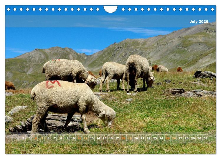 Produktbild: Natural landscape of France (Wall Calendar 2026 DIN A4 landscape), CALVENDO 12 Month Wall Calendar