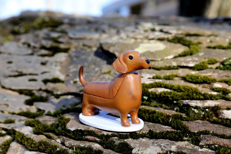 Solar Dashund - Boudewijn