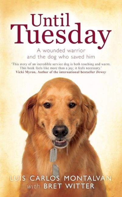 Produktbild: Until Tuesday