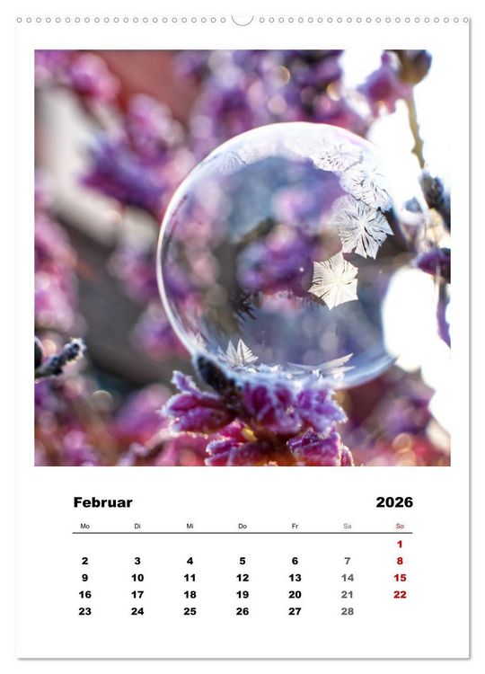 Produktbild: Frostige Seifenblasen (hochwertiger Premium Wandkalender 2026 DIN A2 hoch), Kunstdruck in Hochglanz