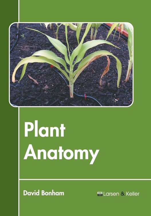 Produktbild: Plant Anatomy