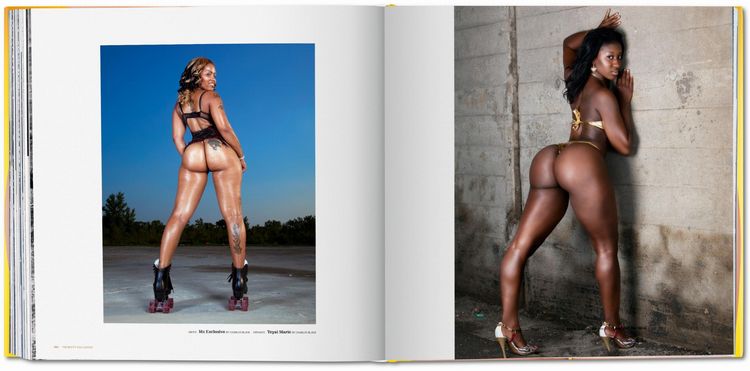 Produktbild: The Big Butt Book
