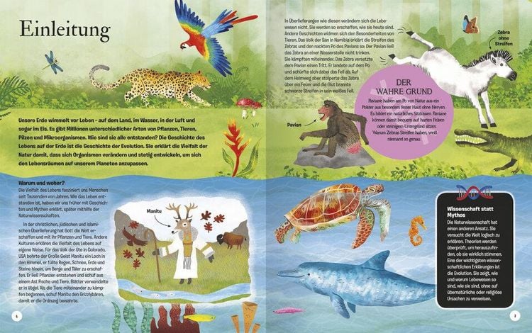Produktbild: Die Geschichte des Lebens - Erstaunliche Evolution!