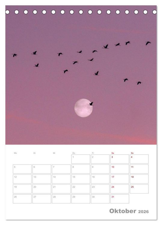Produktbild: VOLLMOND-Planer - Im Licht der Nacht (Tischkalender 2026 DIN A5 hoch), CALVENDO Monatskalender