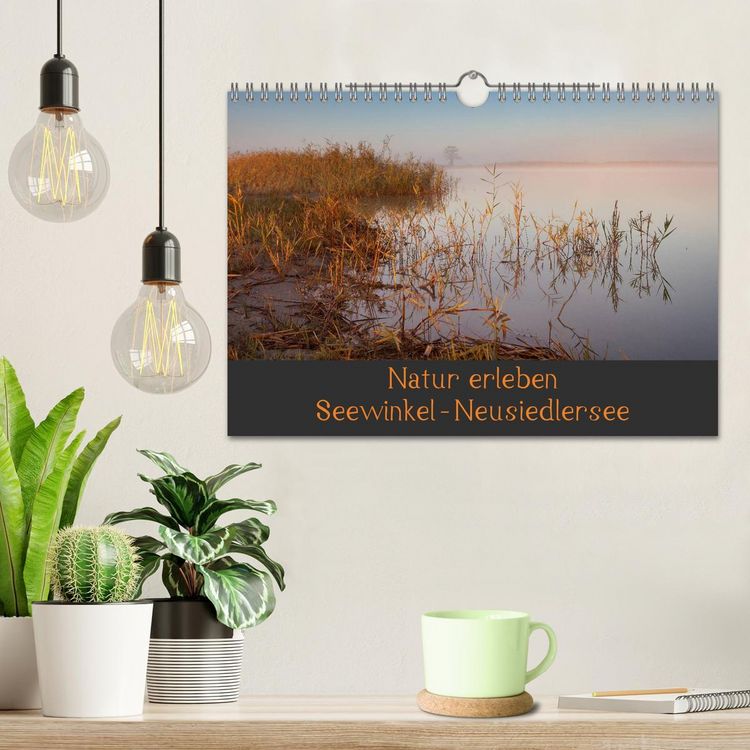 Produktbild: Natur erleben Seewinkel-Neusiedlersee (Wandkalender 2026 DIN A4 quer), CALVENDO Monatskalender