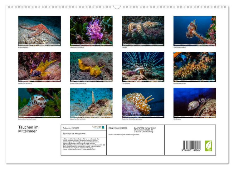 Produktbild: Tauchen im Mittelmeer (hochwertiger Premium Wandkalender 2026 DIN A2 quer), Kunstdruck in Hochglanz