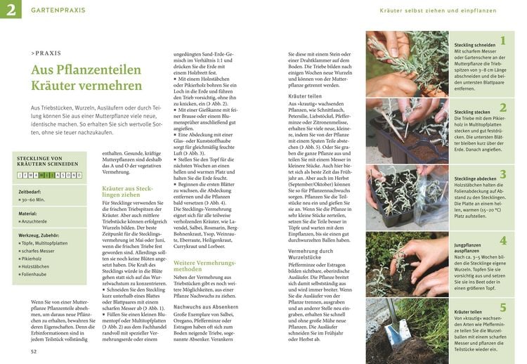 Produktbild: Kr&auml;uter selbst anbauen