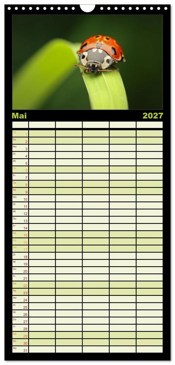 Produktbild: Familienplaner 2027 - Verborgene Wunder mit 5 Spalten (Wandkalender, 21 x 45 cm) CALVENDO