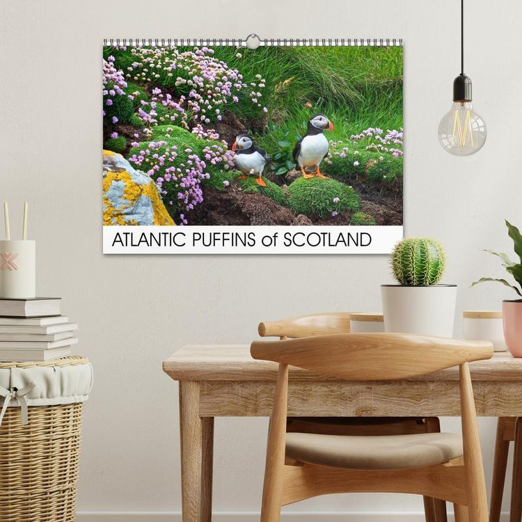 Produktbild: ATLANTIC PUFFINS OF SCOTLAND (Wall Calendar 2026 DIN A3 landscape), CALVENDO 12 Month Wall Calendar