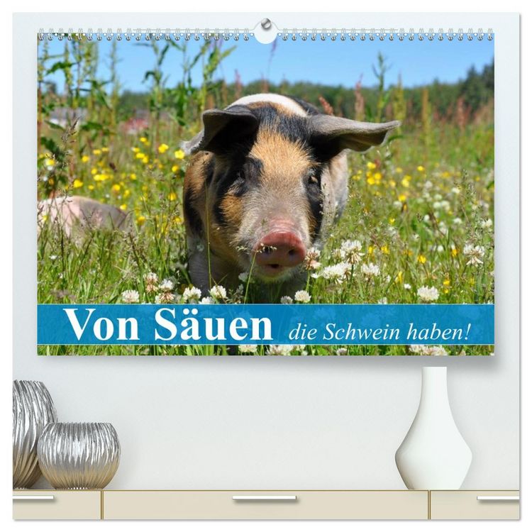 Produktbild: Von S&auml;uen die Schwein haben! (hochwertiger Premium Wandkalender 2026 DIN A2 quer), Kunstdruck in Hochglanz