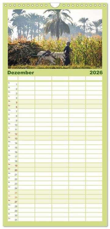 Produktbild: Familienplaner 2026 - &Auml;gypten - Im Land der Pyramiden mit 5 Spalten (Wandkalender, 21 x 45 cm) CALVENDO