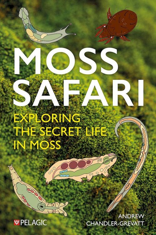 Produktbild: Moss Safari