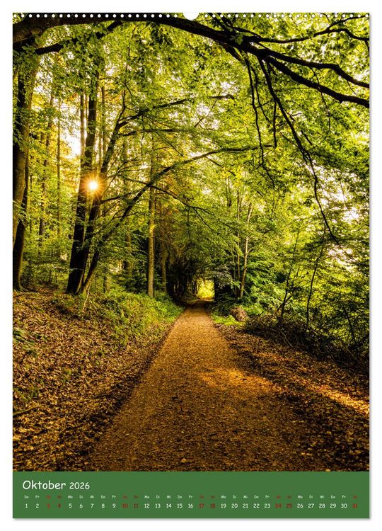 Produktbild: Ich bin dann mal im Wald (hochwertiger Premium Wandkalender 2026 DIN A2 hoch), Kunstdruck in Hochglanz