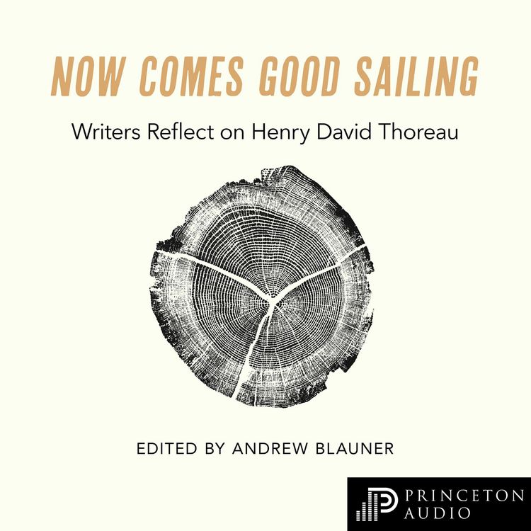 Produktbild: Now Comes Good Sailing