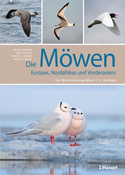 Produktbild: Die M&ouml;wen Europas, Nordafrikas und Vorderasiens
