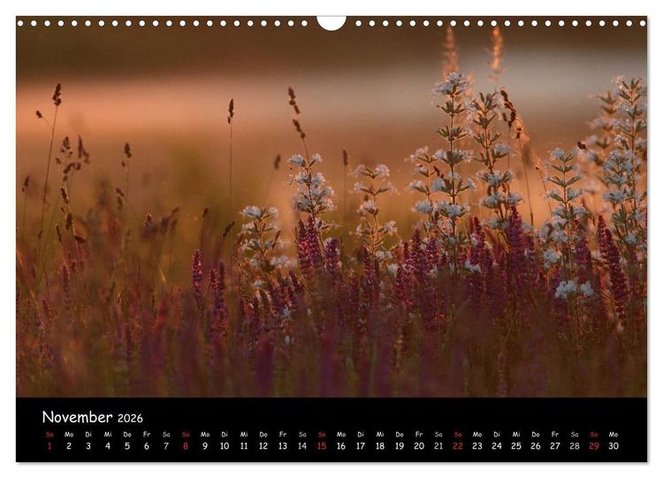 Produktbild: Naturjuwelen - Neusiedler See (Wandkalender 2026 DIN A3 quer), CALVENDO Monatskalender