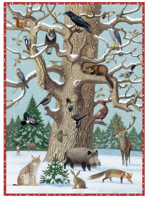 Produktbild: Tiere im Winter