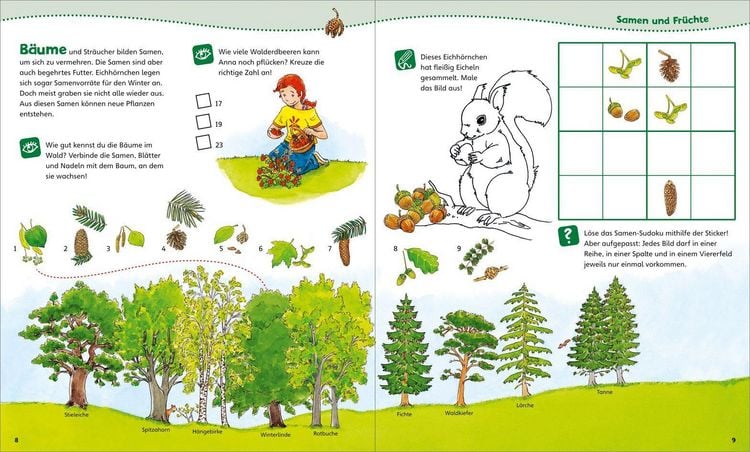 Produktbild: WAS IST WAS Junior Mitmach-Heft Wald
