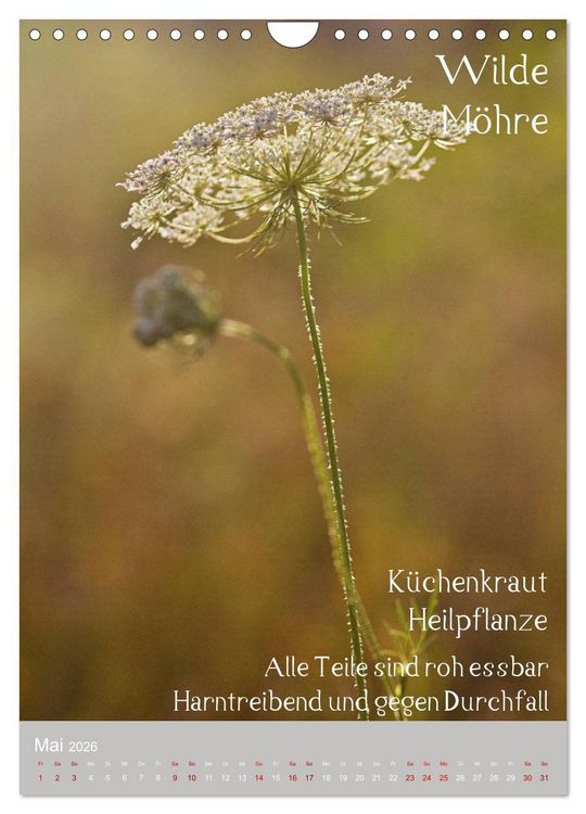 Produktbild: Unkr&auml;uter - N&uuml;tzliche Wildpflanzen auf der Wiese (Wandkalender 2026 DIN A4 hoch), CALVENDO Monatskalender