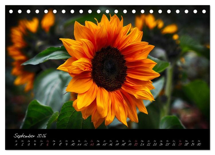 Produktbild: Soul-Jazz - Visuelle Musik der Blumen (Tischkalender 2026 DIN A5 quer), CALVENDO Monatskalender