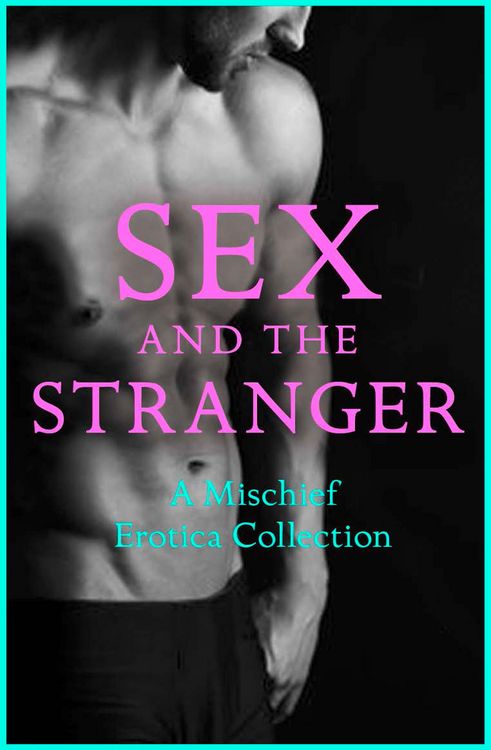 Produktbild: Sex and the Stranger 2