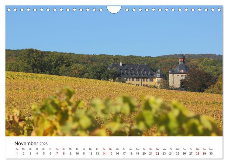 Produktbild: Rheingau - Land des Weines und der Bauwerks (Wandkalender 2026 DIN A4 quer), CALVENDO Monatskalender
