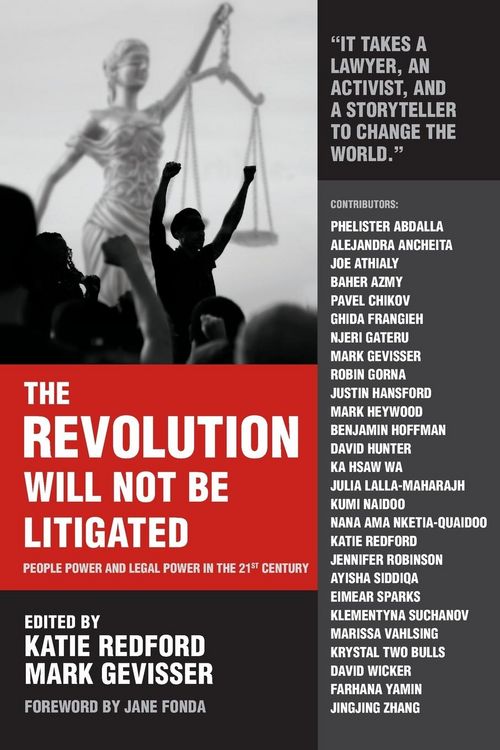 Produktbild: The Revolution Will Not Be Litigated