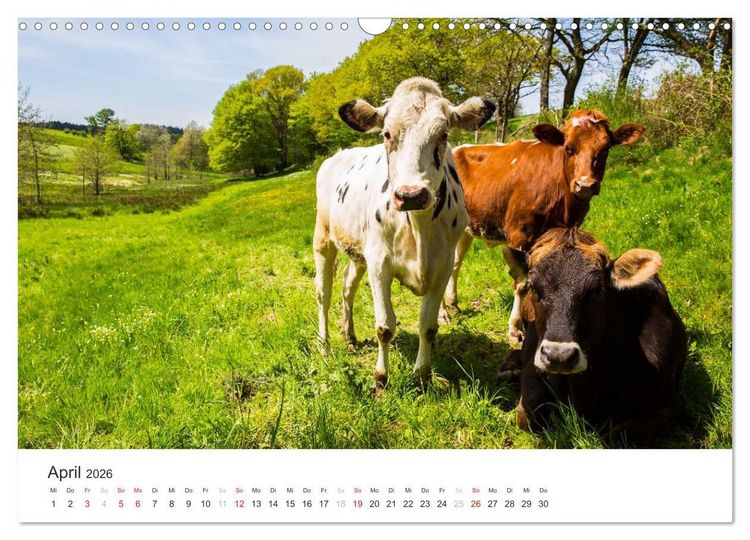 Produktbild: Blicke in die Eifel (Wandkalender 2026 DIN A3 quer), CALVENDO Monatskalender