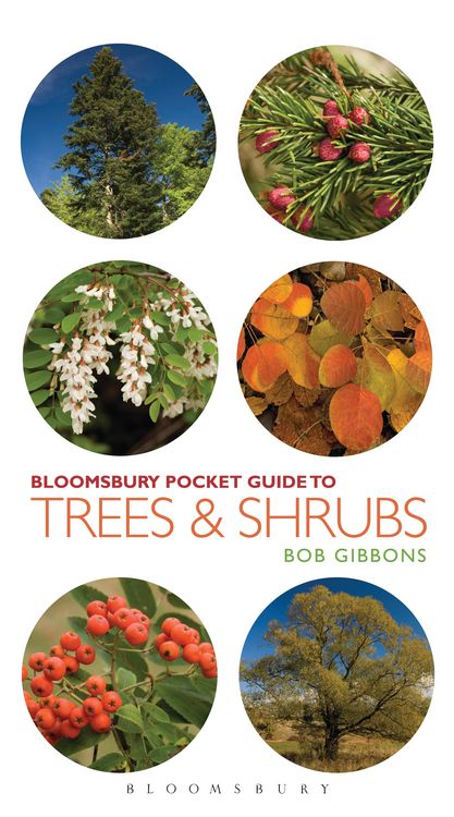 Produktbild: Pocket Guide to Trees and Shrubs