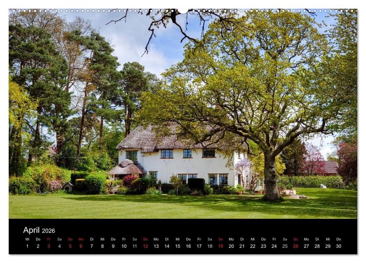 Produktbild: New Forest - England (hochwertiger Premium Wandkalender 2026 DIN A2 quer), Kunstdruck in Hochglanz